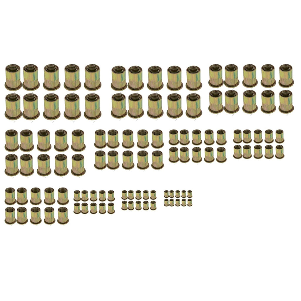 16 Rivet Nut Tool Hand Blind Riveter Kit with 11PCS Metric and Mandrels 110Pcs Assorted Rivet Nuts S125558