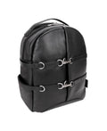 Notebook carrying backpack C68939
