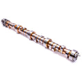 Hydraulic Roller Cam Y249