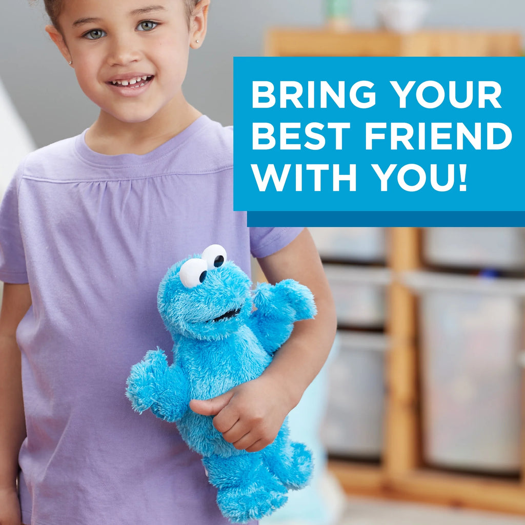Cookie Monster Mini Plush L7297