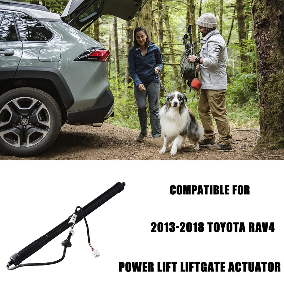 Power Liftgate Support Strut for Toyota RAV4 2013-2018 J95851