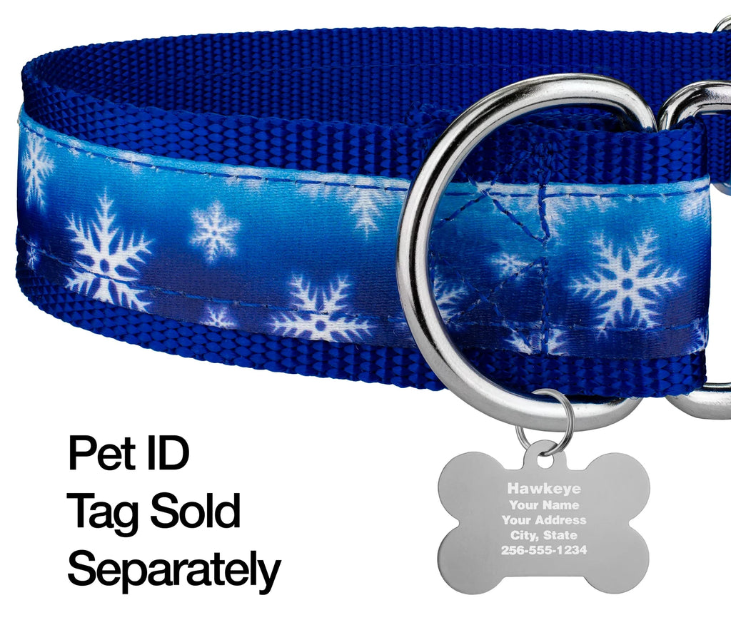Winter Wonderland Martingale Dog Collar, 1 1/2 inch, Large J77348