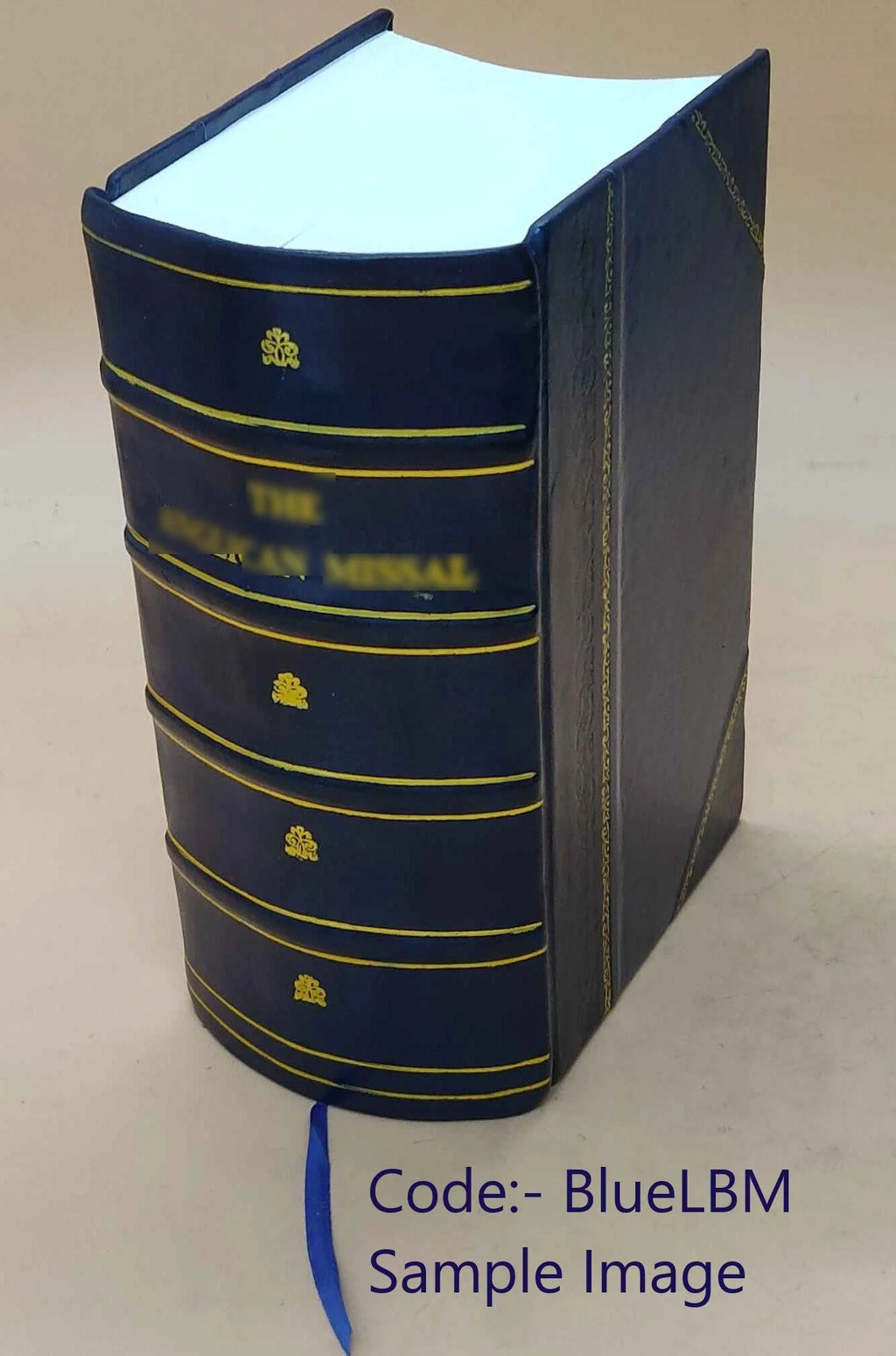 Thirteen Discourses on the American Revolution with Historical Preface K5465