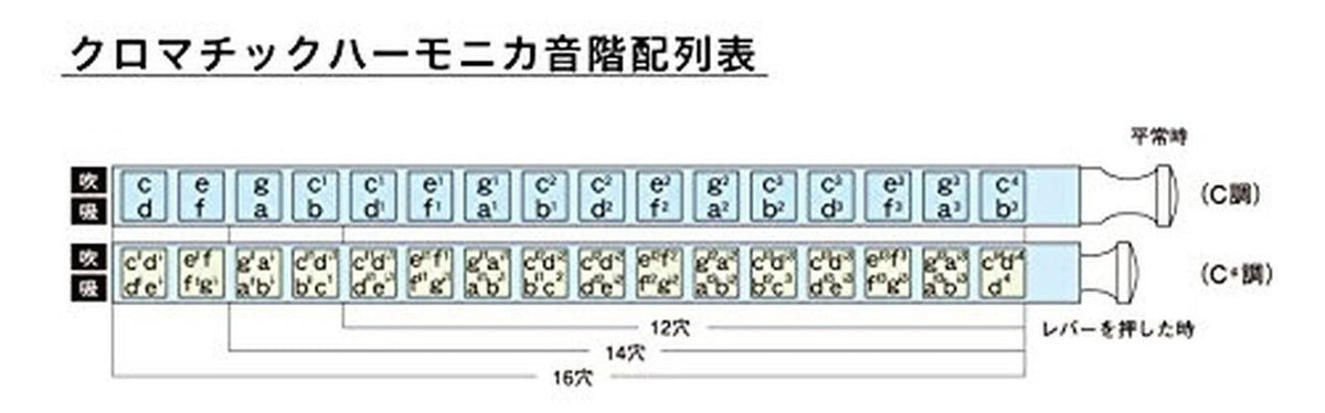 C 64 Hole Harmonica X533838