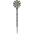 Steel Tip Darts with Case C81240