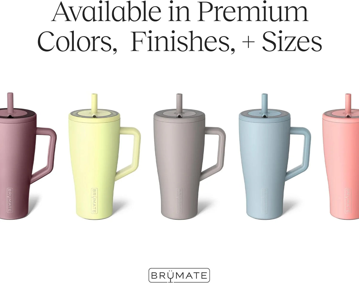 30 oz Stainless Steel Tumbler with Handle and Straw P5764