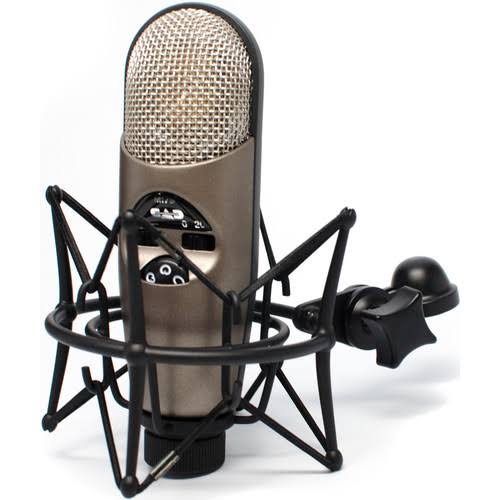 Variable-Pattern Condenser Mic with Shockmount + Pop Filter + XLR Cable B4675