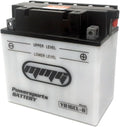 Heavy Duty 12v Powersports Battery Pack of 2 V27959