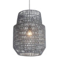 Gray Ceiling Lamp W815