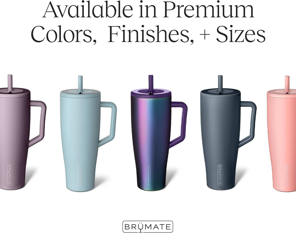 30 oz Stainless Steel Tumbler with Handle and Straw P5764