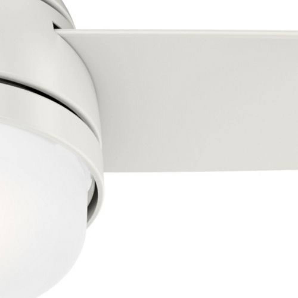 Indoor LED Ceiling Fan G9386