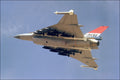 F-16XL Fighting Falcon Gallery Poster L603