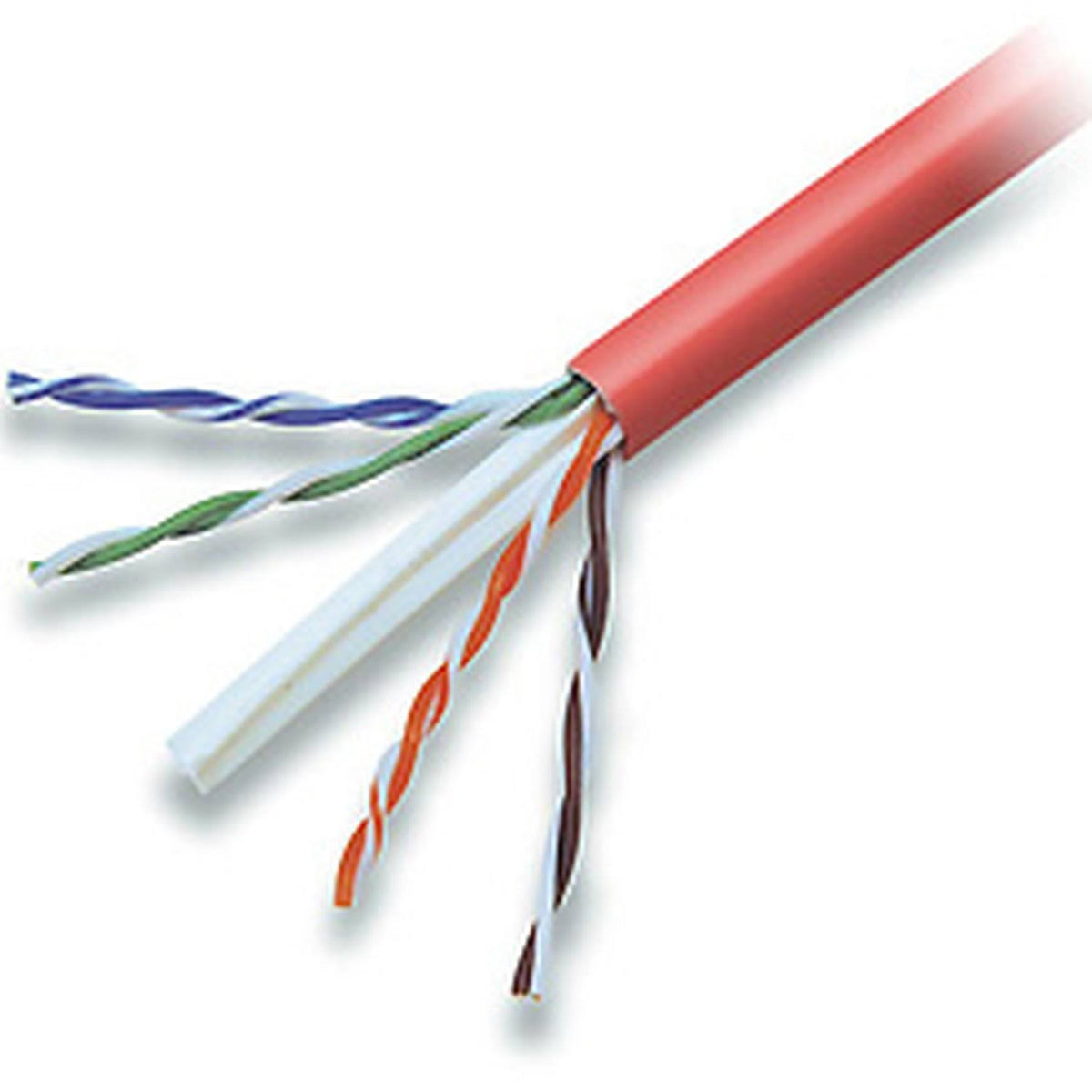 Cat6 Patch Cable 1000ft Red A648352