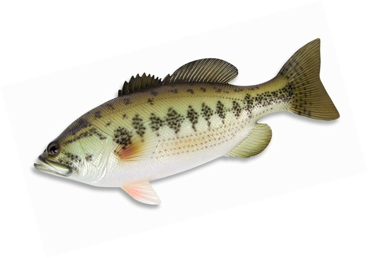 Large Mouth Bass Wall Mount Decor Plaque 18x22 Y25573