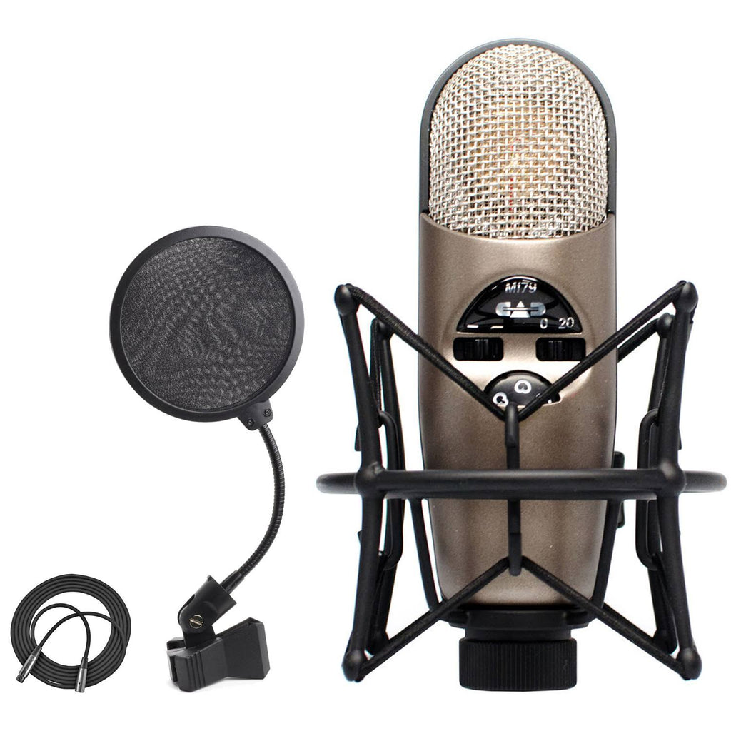 Variable-Pattern Condenser Mic with Shockmount + Pop Filter + XLR Cable B4675