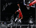 Autographed 11" x 14" Dunking Photograph C493751