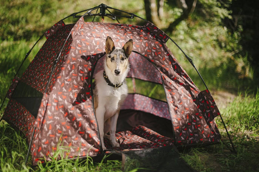 Outdoor Dog Tent E45338