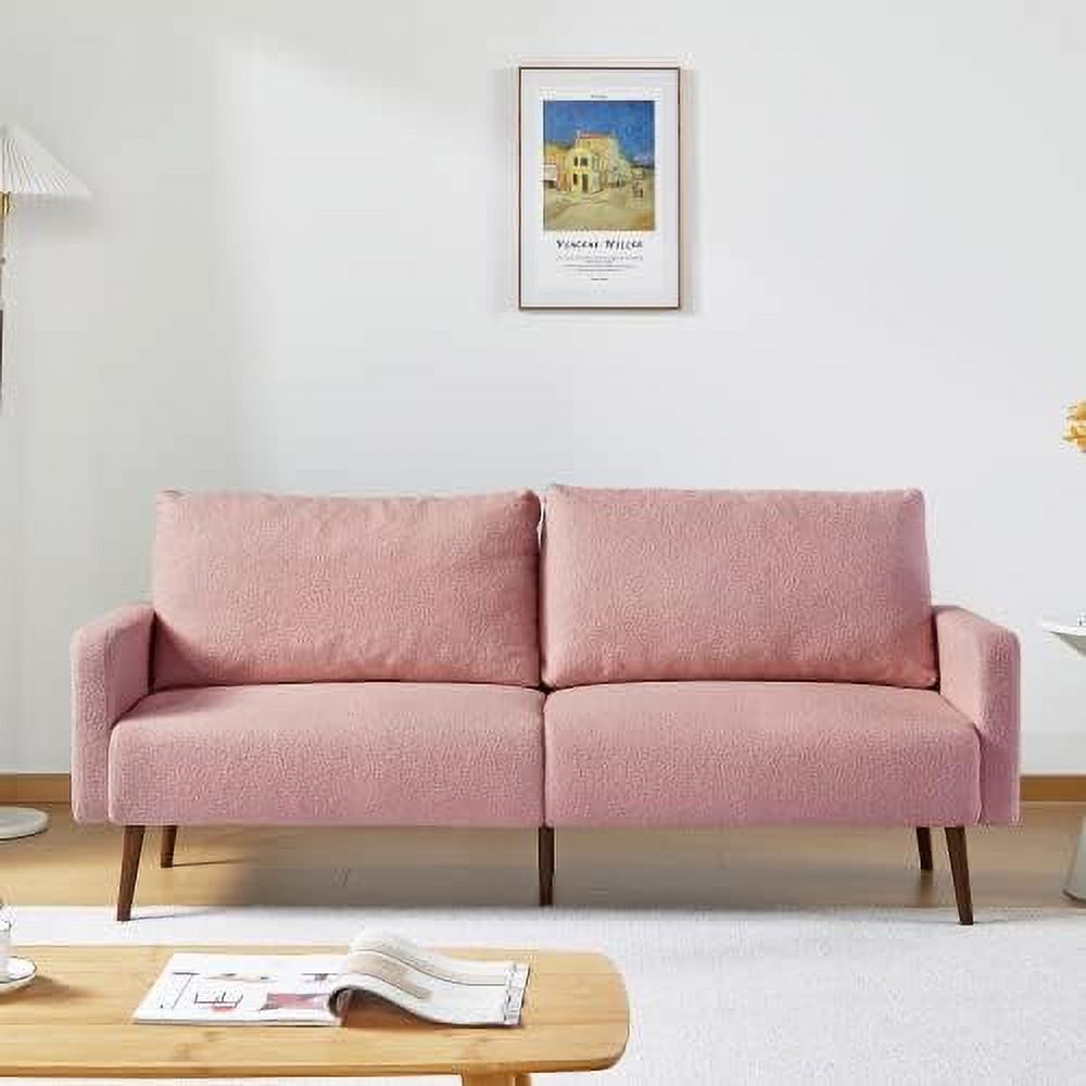 Large Teddy Velvet Loveseat Couch Z22523