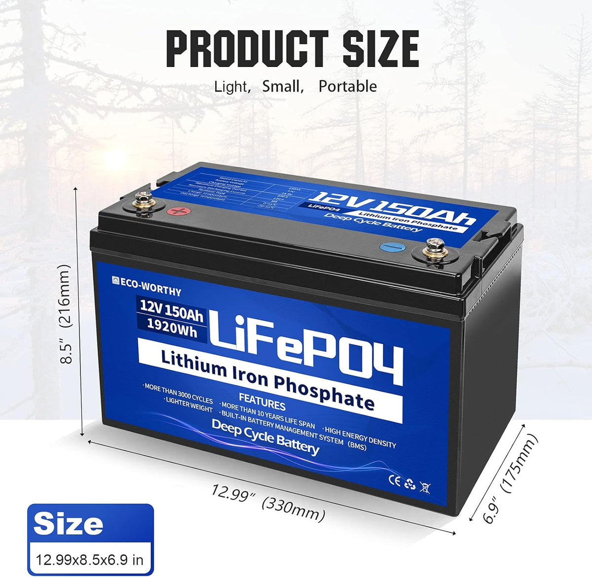 12V 150Ah LiFePO4 Lithium Iron Phosphate Battery with BMS Protection Z630242