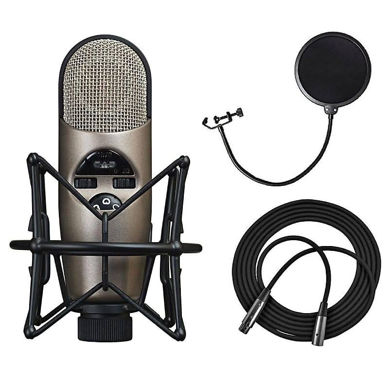 Variable-Pattern Condenser Mic with Shockmount + Pop Filter + XLR Cable B4675