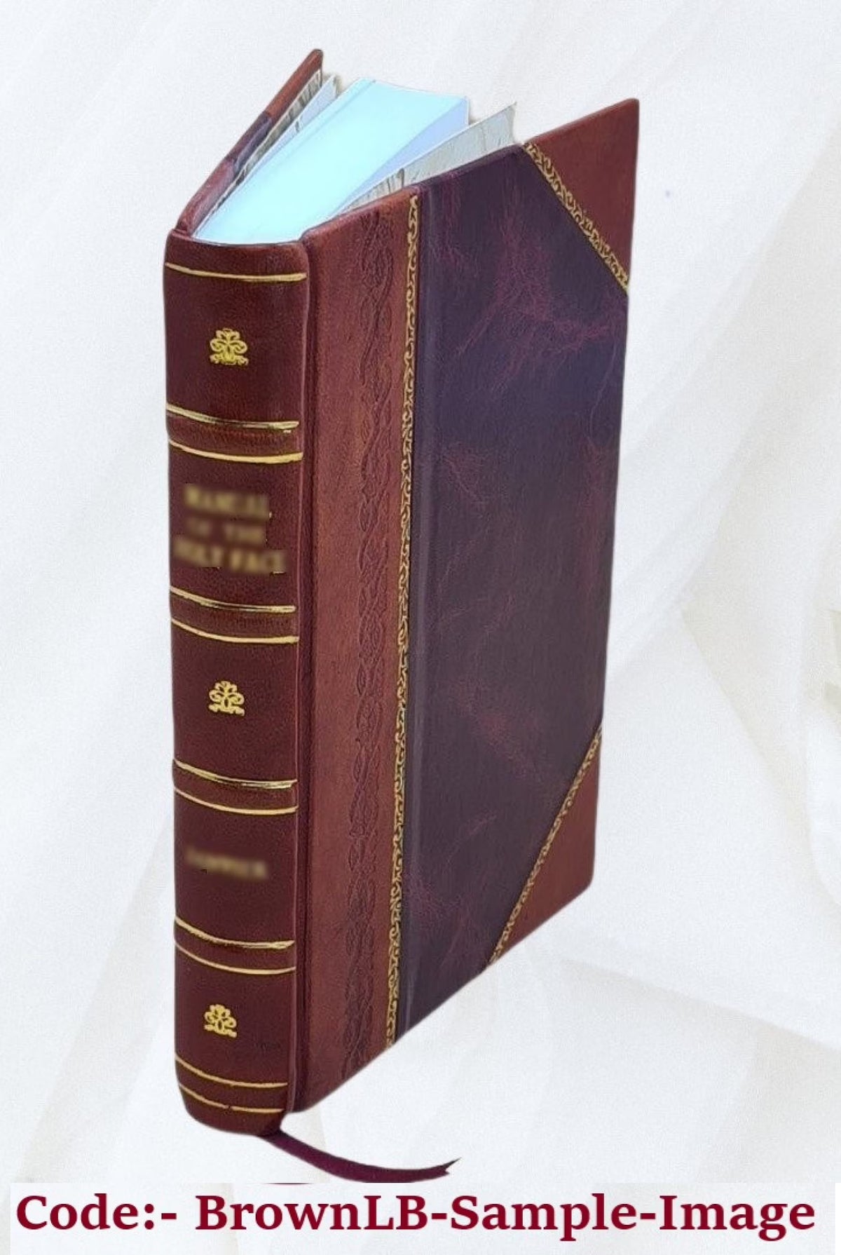 Leather Bound Book B402812