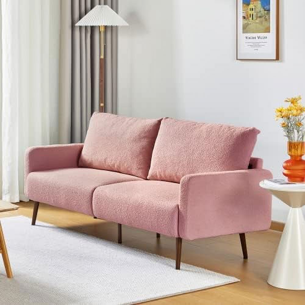 Large Teddy Velvet Loveseat Couch Z22523