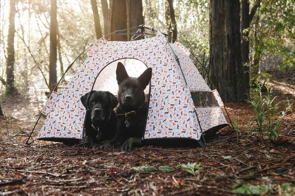 Outdoor Dog Tent E45338