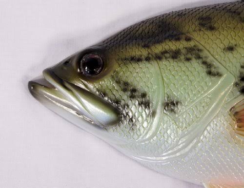 Large Mouth Bass Wall Mount Decor Plaque 18x22 Y25573