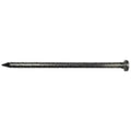 50 lbs Bright Common Nail U801081
