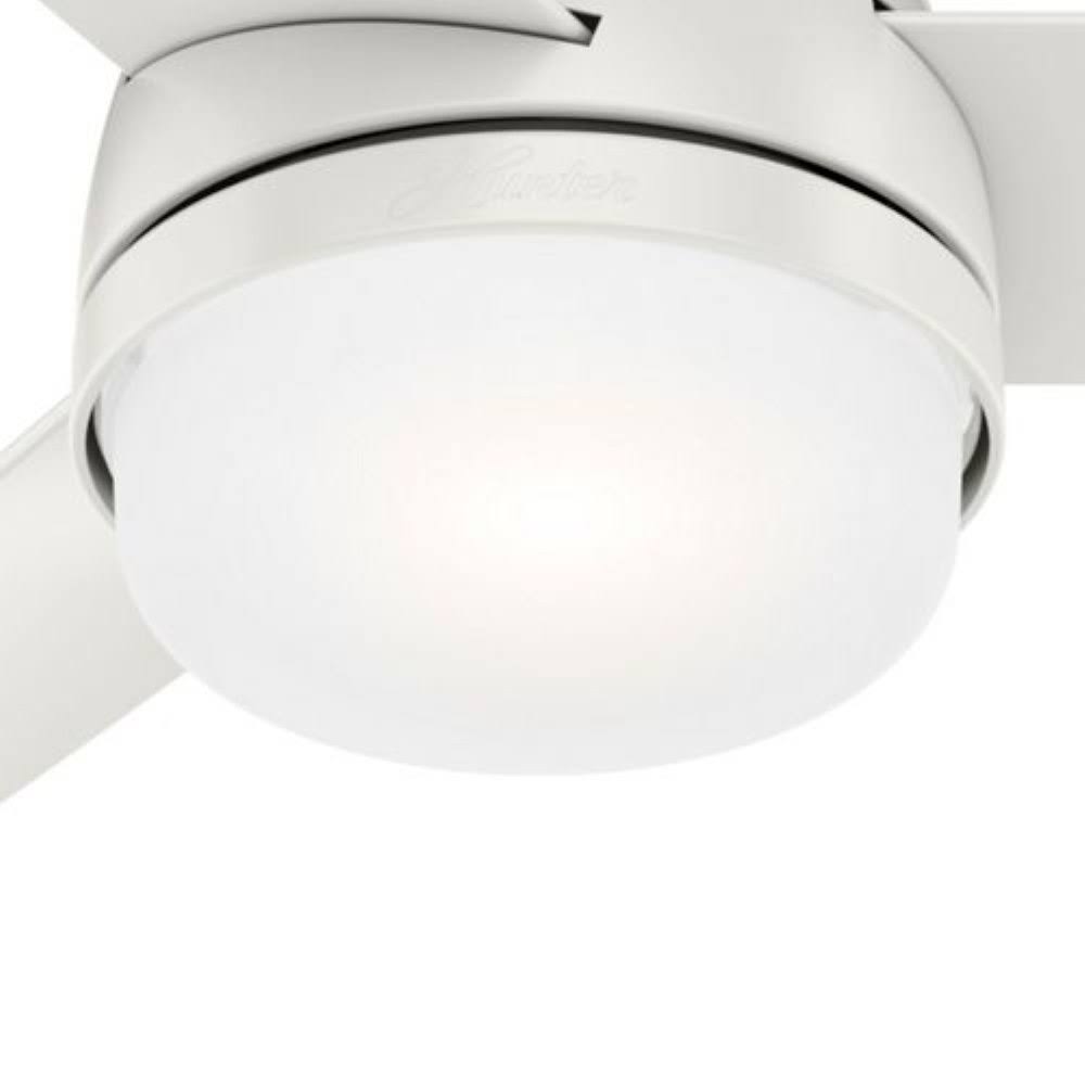 Indoor LED Ceiling Fan G9386