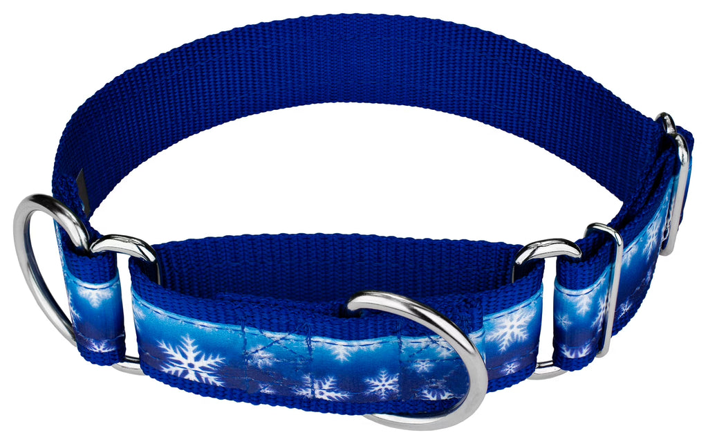 Winter Wonderland Martingale Dog Collar, 1 1/2 inch, Large J77348