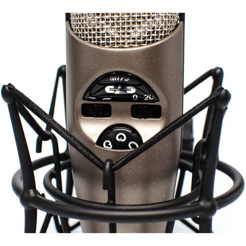 Variable-Pattern Condenser Mic with Shockmount + Pop Filter + XLR Cable B4675