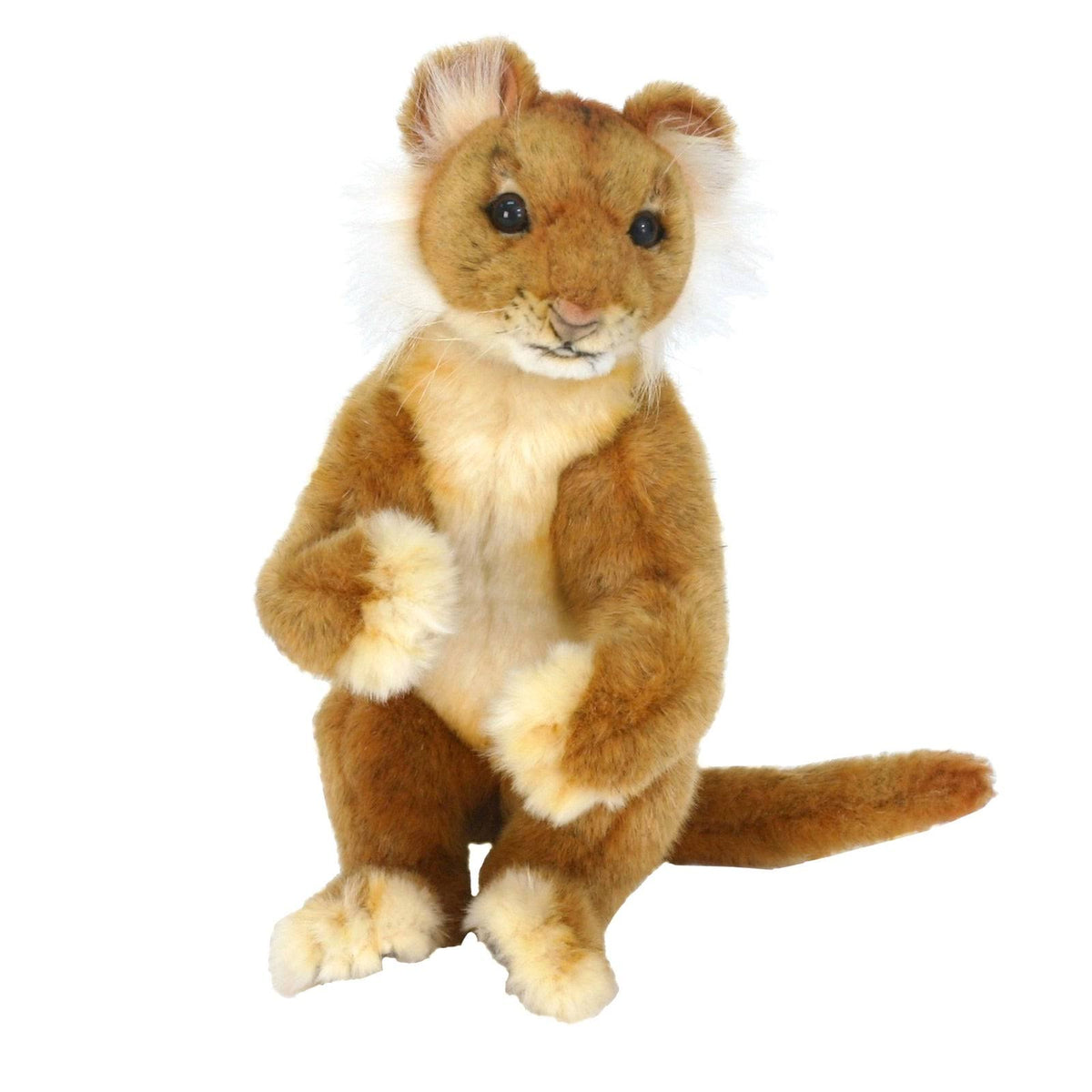 Lion Cub 11 inch H24986